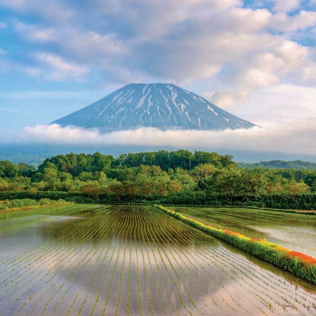 Summer in Niseko: 10 Family-Friendly Activities You’ll All Love