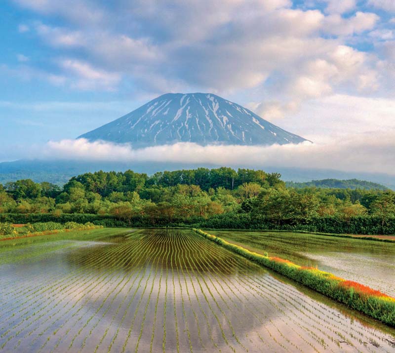 Summer in Niseko: 10 Family-Friendly Activities You’ll All Love