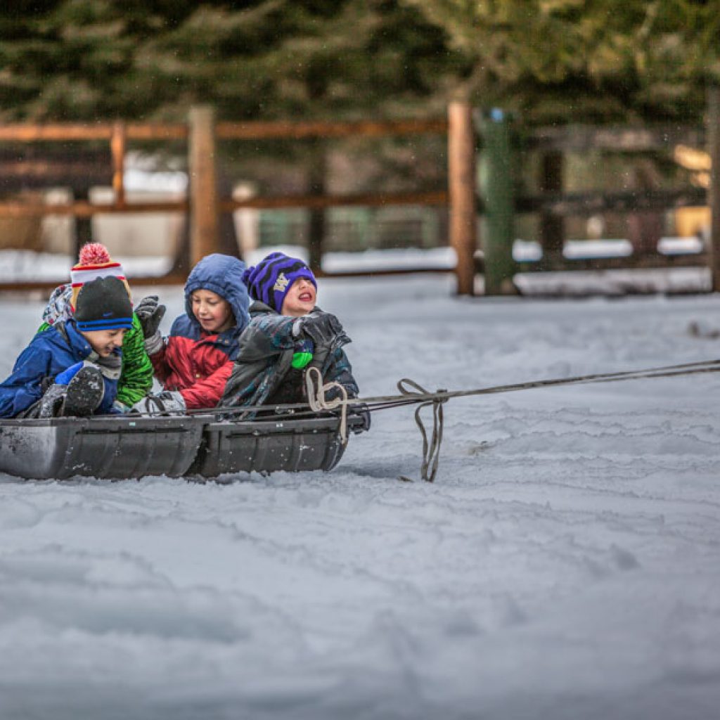 Get kids into nature at day camp designed for the Niseko outdoors