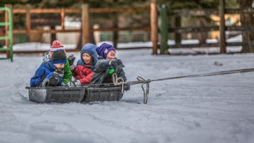 Get kids into nature at day camp designed for the Niseko outdoors