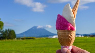 Niseko summer: a family fun checklist