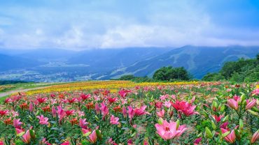 The ultimate Hakuba summer bucket list