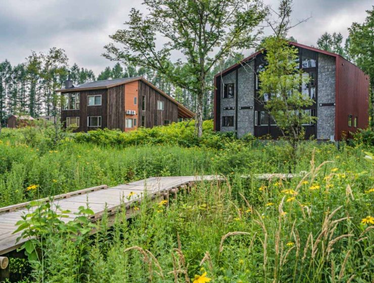 树巢别墅10号｜二世古桦山