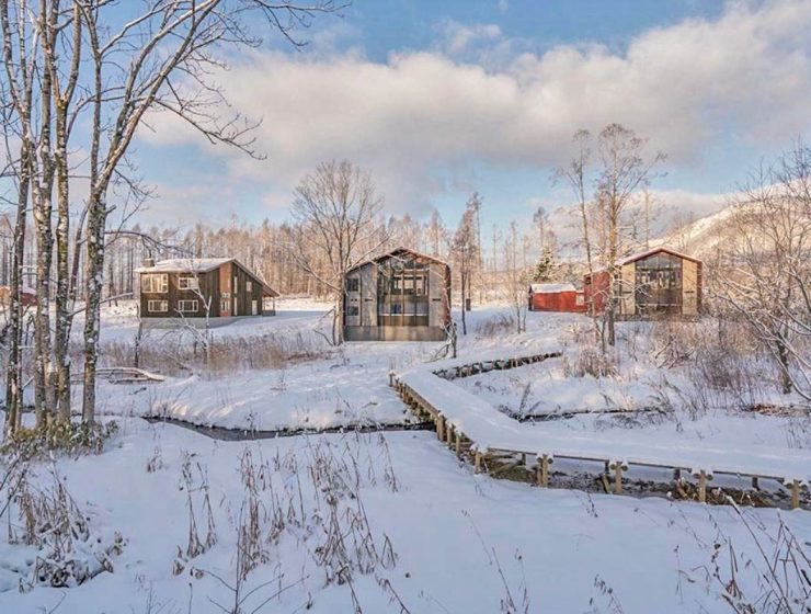 树巢别墅9号｜二世古桦山