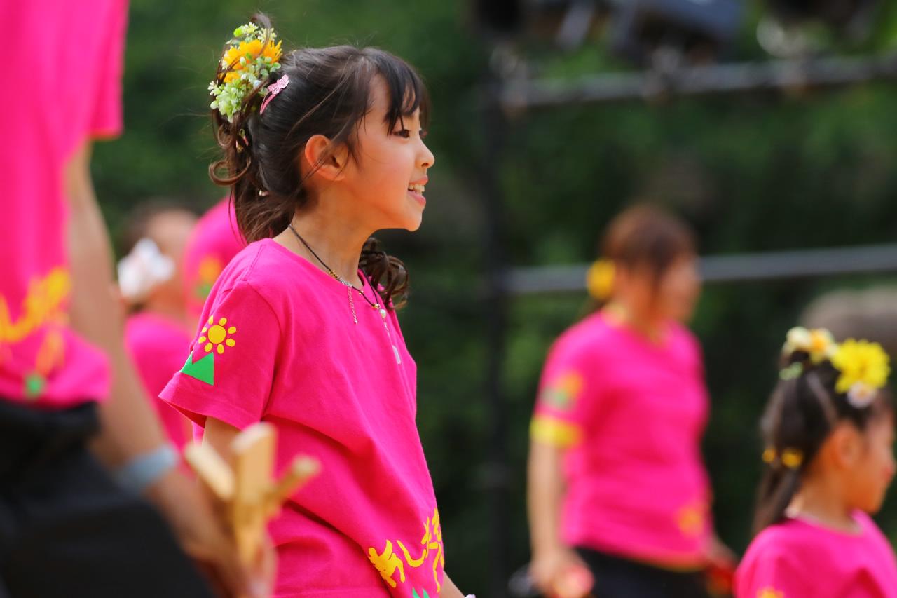 2019 年夏季北海道必看的 5 個趣味節慶