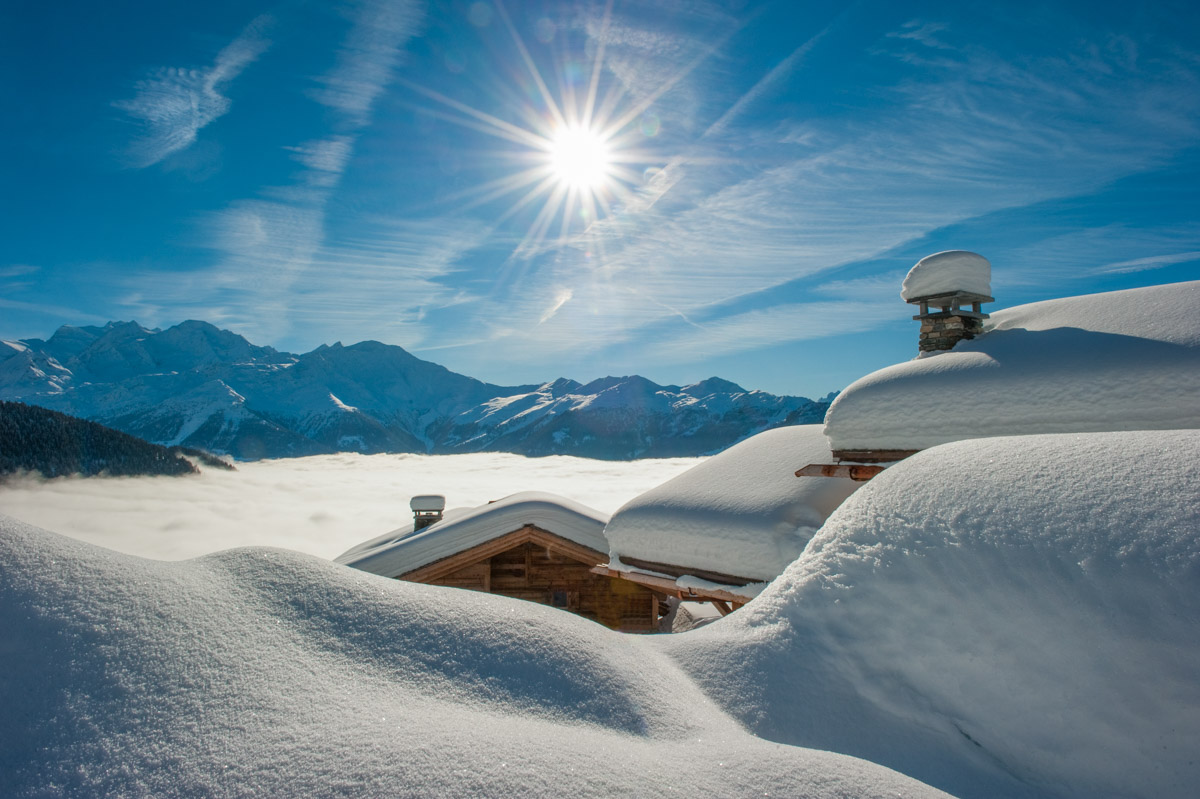 The Ski Project 呈獻：冬季精選