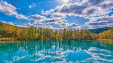 Flowers and Fun: Your Ultimate Guide to a Day in Furano