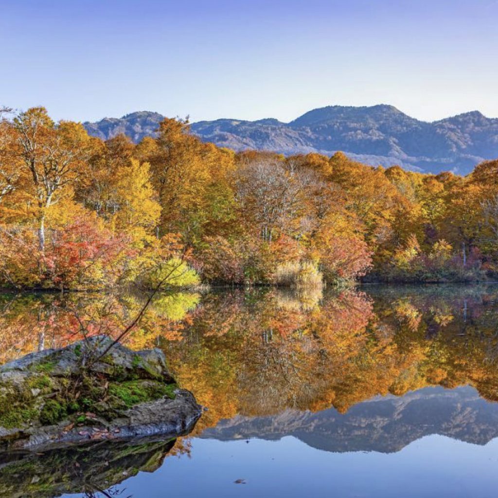 Top 3 Hiking Routes to enjoy Autumn Foliage you should never miss in Hakuba