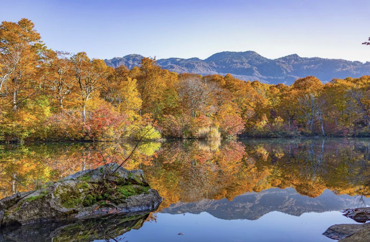 白馬賞楓必去的 3 條健行路線