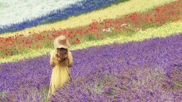 10 Fun Things To Do In Furano This Summer