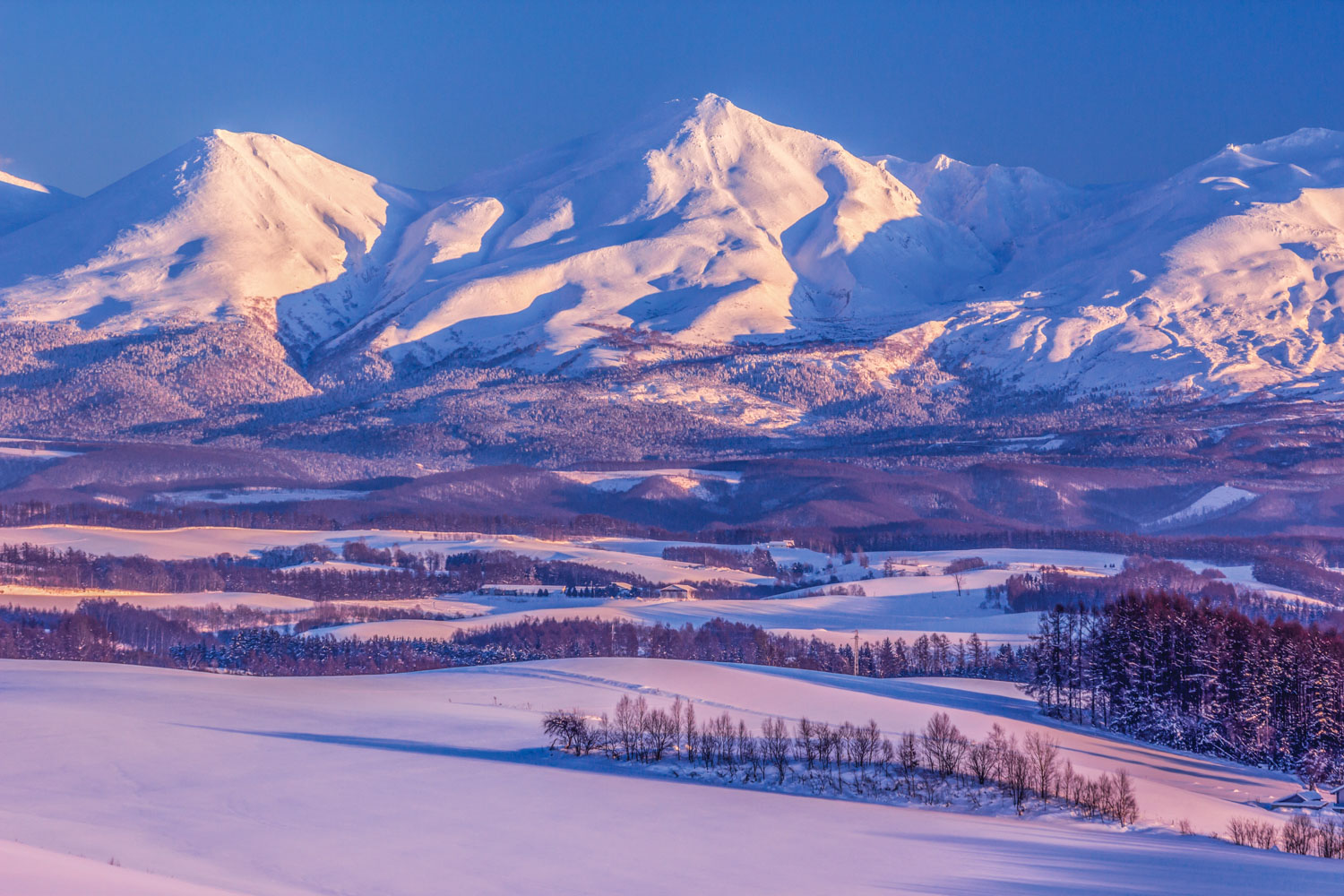 探索富良野：北海道冬季的世外桃源