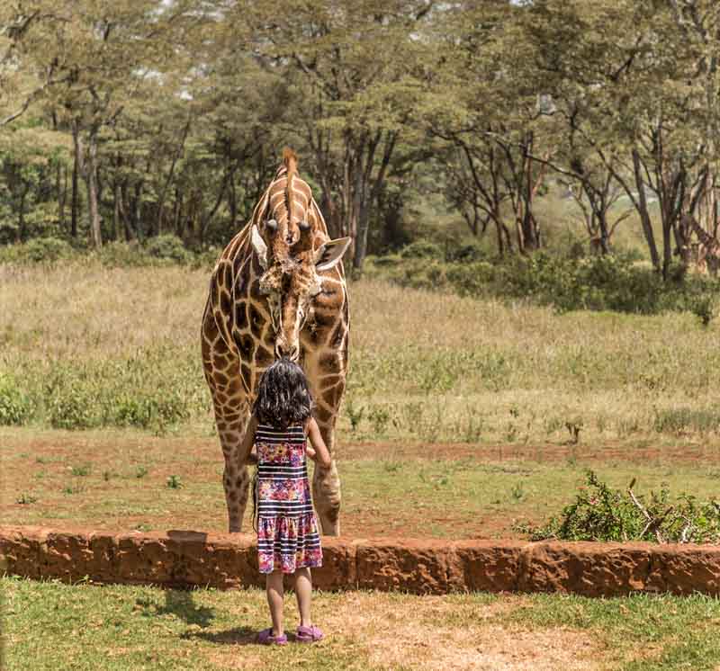 4 things we learned planning summer trips as a family
