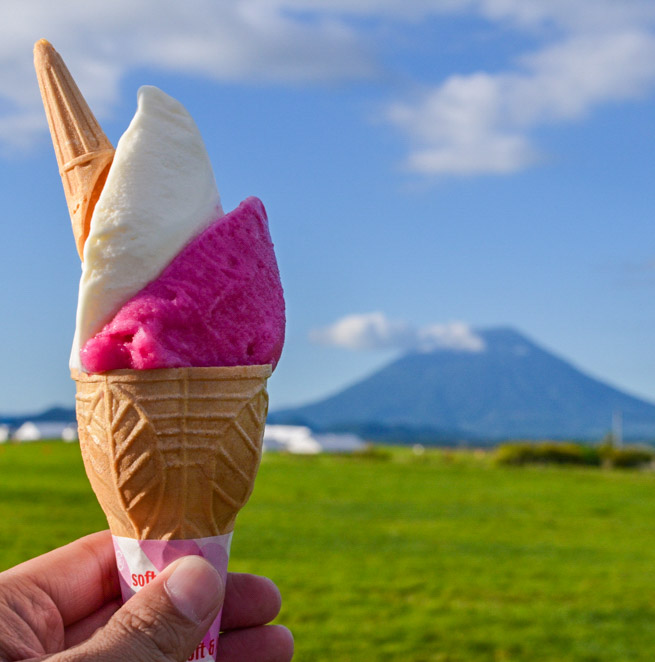 Niseko Summer A Family Fun Checklist